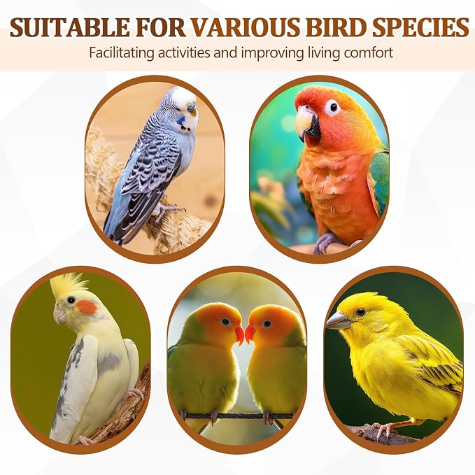 Sintuff 8 Pcs Bird Perches for Cage Accessories, Wooden Perch Rods Replacement with Double Head Slots, 0.6 Inch Diameter Natural Wood Stand for Parrot Macaw Cockatoo Parakeet (30 Inches)