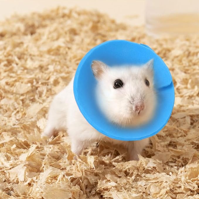 3 Pcs Adjustable Recovery Bird Cone Collar,Hamster Elizabeth Collar Protective Cones for Sugar Glider Hamster Ferret Squrrel_XS