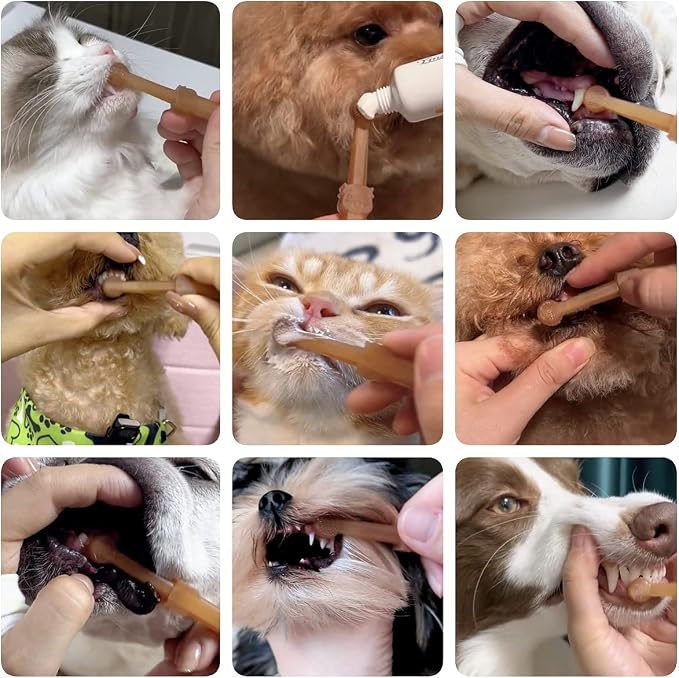 Dog & Cat Toothbrush Kit with Storage Cup, Mini Head Tongue Cleaning Brush | 360° Silicone Finger Toothbrushs,Soft Bristles Cleaning Brush,Pet Dental Care Kit,For Doggie Kitten Ferret Dutch Pigs