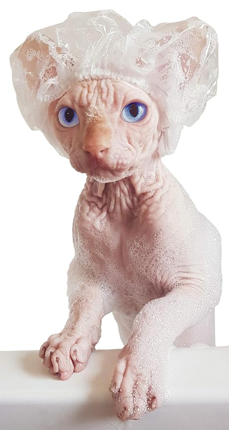20 Transparent Shower Caps for Sphynx Cats in Decorative Tin Gift Box - Waterproof Bath Protection, Thoughtful Cat Lover Gift Set