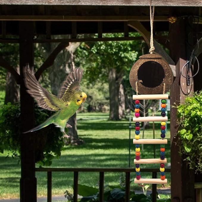 Hanging Coconut Birds House with Ladder, Natural Coconut Bird Nest | Coconut Hide Birds Swing Toys for Parrot Parakeet Lovebird Finch Canary for Hamster, Bird Cage Accessories, Pet Bird Supply