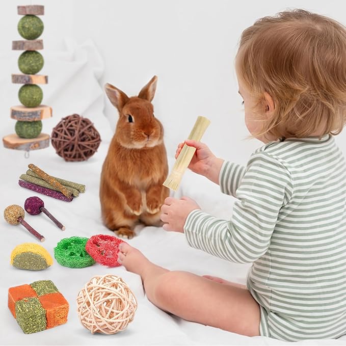 Bunny Toys for Rabbits Hamster/Guinea Pig Toys Natural Timothy Hay Sticks | Timothy Hay Sticks chew Treats and Balls Toys for Rabbit, Bunny, chinehila, Guirea Pig, Hamster, Rabbit Teeth Care