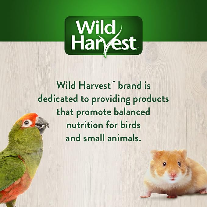 Wild Harvest® Foraging Instincts Roll n’ Play Interactive Treat, 3 Count, for Pet Mice, Rats, Hamsters and Gerbils, 2.30 Ounce (Pack of 2)