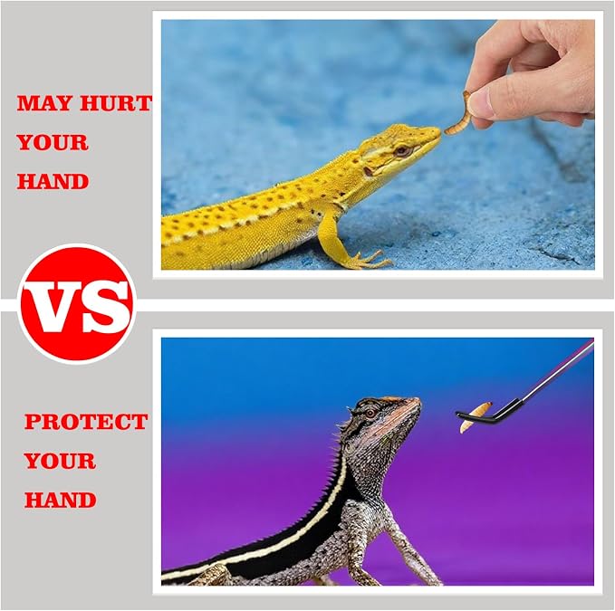 2-Pack Professional Reptile Nail Clippers&Stainless Steel Reptile Feeding Tongs Suitable for Small Animals Such as Cats, Birds, Hamsters, Rabbits, Hedgehogs, Ferrets, Chinchillas, Guinea Pigs,Etc