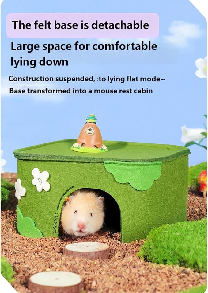Hamster Sand Bath Box for Depth Digging Activity and Instincts Simulation with Transparents Viewing Panel