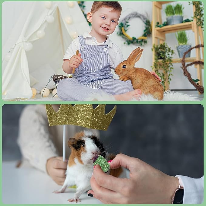 Rabbit Chew Toys Teeth Timothy Hay Sticks, Guinea Pig Chew Treats Toys | Timothy Hay Sticks chew Treats for Rabbit Toys, Chinchillas Hamsters Bunny Guinea Pig Rats and Animals Teeth Care
