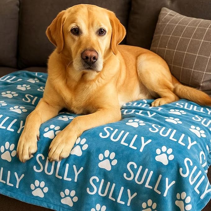 Ship Next Day,Custom Blanket with Name,Personalized Blankets for Kids,Customized Fleece Throw Blanket Christmas Blanket Gifts for Daughter Son