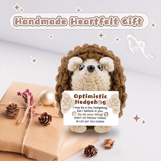 Mini Cute Hedgehog Gifts, Best Friend Friendship Gifts for Women Men | Crochet Hedgehog Cute Decor Inspirational Gift for Adult Coworker Friend