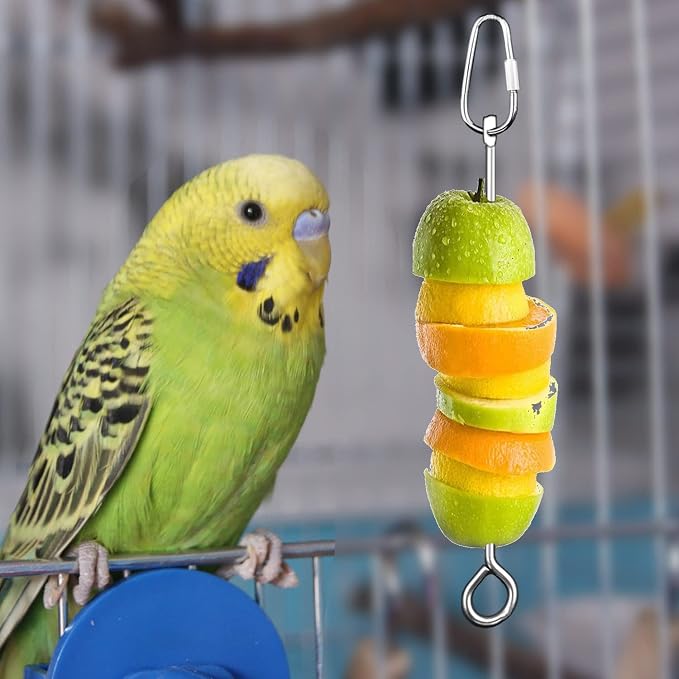 Bird Cage Food Holder Parrot Fruit Vegetable Skewer Bird Cage Feeder, 3Pack | Stainless-Steel Fruit Holder Foraging Toy for Budgie, Parakeet, Macaw