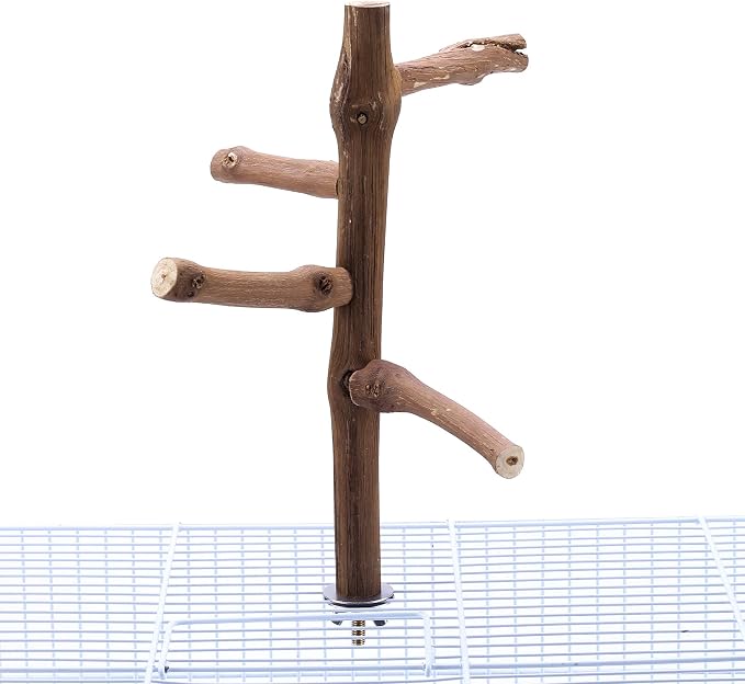 Bird Perch Stand Toy Grapevine Wood Bird Cage Branch Perch 10 Inch | Natural Grapevine Wood Perch Stand 4 Branches Bird Cage Inside Accessories Bird Toy for Parakeet Cockatiel Conure Finches
