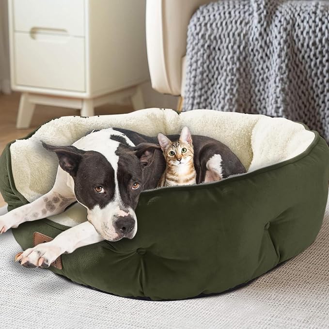 Asvin Small Dog Bed for Small Dogs, Cat Beds for Indoor Cats, Pet Bed for Puppy and Kitty, Extra Soft & Machine Washable with Anti-Slip & Water-Resistant Oxford Bottom, Green, 20 inches