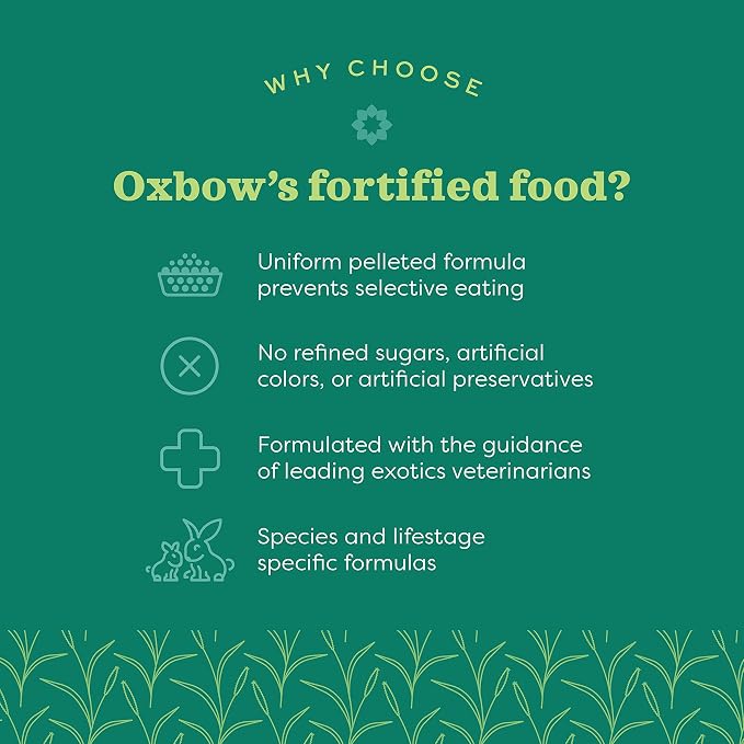 Oxbow Essentials Adult Rat Food - All Natural Adult Rat Food - 20 lb. | Uniform Rat Food Pellets, Veterinarian Recommended, Vitamins And Minerals, Uniform, Made In USA, Daily Food for Adult Rats