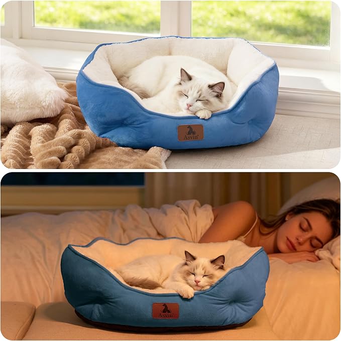 Asvin Medium Dog Bed for Medium Dogs, Cat Beds for Indoor Cats, Pet Bed for Puppy and Kitty, Extra Soft & Machine Washable with Anti-Slip & Water-Resistant Oxford Bottom, Light Blue, 25 inches
