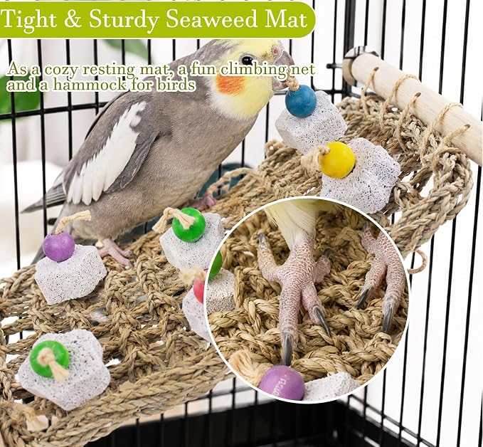 FlidRunest Conure Seagrass Mat with Grinding Calcium Stone Chewing Toy | Parrot Beak Grinding Stone and Seagrass Ladder Bridge Stands, Hand-Woven Net Climbing Net for Budgie Parakeet