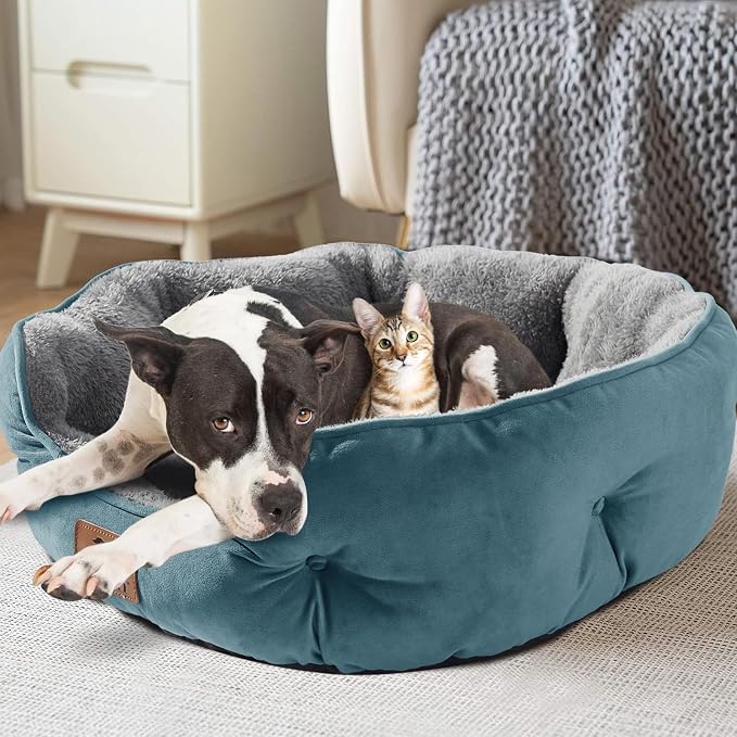 Asvin Small Dog Bed for Small Dogs, Cat Beds for Indoor Cats, Pet Bed for Puppy and Kitty, Extra Soft & Machine Washable with Anti-Slip & Water-Resistant Oxford Bottom, Teal, 20 inches