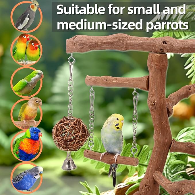 LIMIO Natural Grape Wood Bird Parakeet Playground - Perch Stand for Parakeets, Cockatiels, and Small Birds Toys
