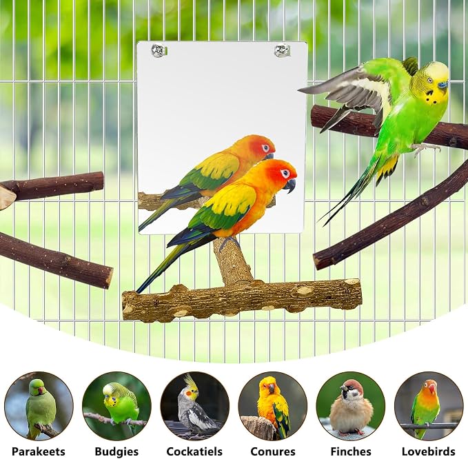 BNOSDM 5PCS Bird Perches Stand with Mirror Parrot Wood Stick Perches | Natural Forked Perch Branch Parakeet Toy Set Bird Cage Accessories for Budgie Cockatiel Conure Finch Lovebird