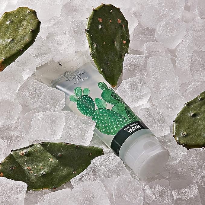 YADAH Cactus Soothing Gel (3.7fl oz) -95% Cactus Extract, Sunburn Relief,After Sun Care,Calm, Cool & Soothe Irritated Skin, Face Redness,Korean Skin Care,Vegan.