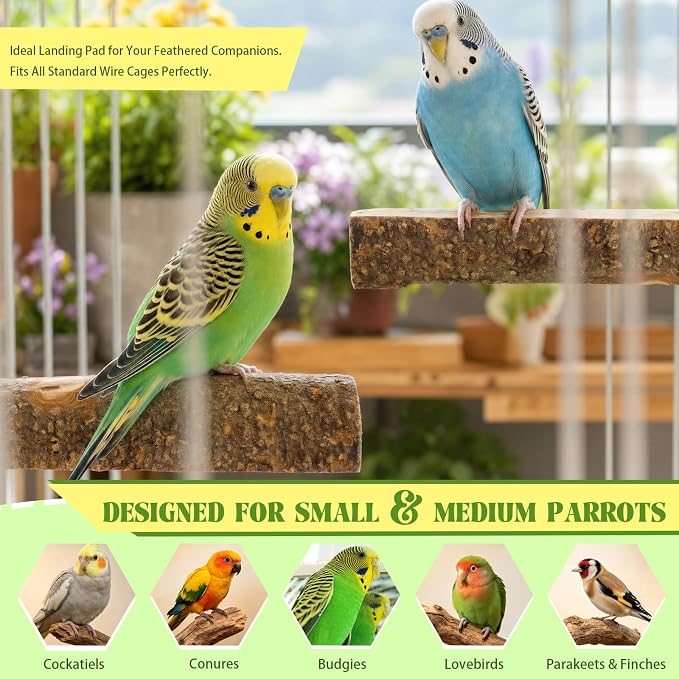 2PCS Large Flat Bird Perch Platform for Cage (6" x 3.15") | Natural Apple Wood Foot-Care Wooden Perches Stand, Small Bird Toy & Accessories for Cockatiels, Conures, Budgies, Lovebirds