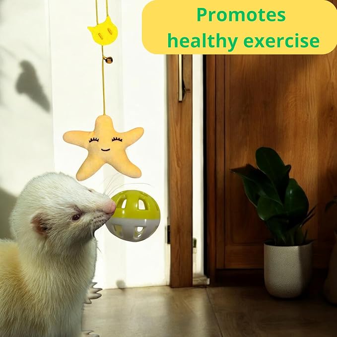Interactive Bell Ball and Hanging Toy for Ferret, Star Hanging Toys and Interactive Balls for Ferrets Cat Small Dogs, Ferret Enrichment Toys, Ferret Accessories, Small Pet Gifts (Orange - Star)