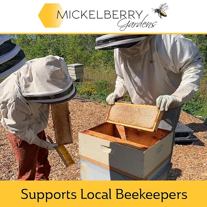Mickelberry Gardens Soothing Skin Salve – Organic Herbal Balm with Calendula, Lavender & Beeswax – Natural Relief for Bug Bites, Scrapes & Irritations – All Skin Types – 2 oz