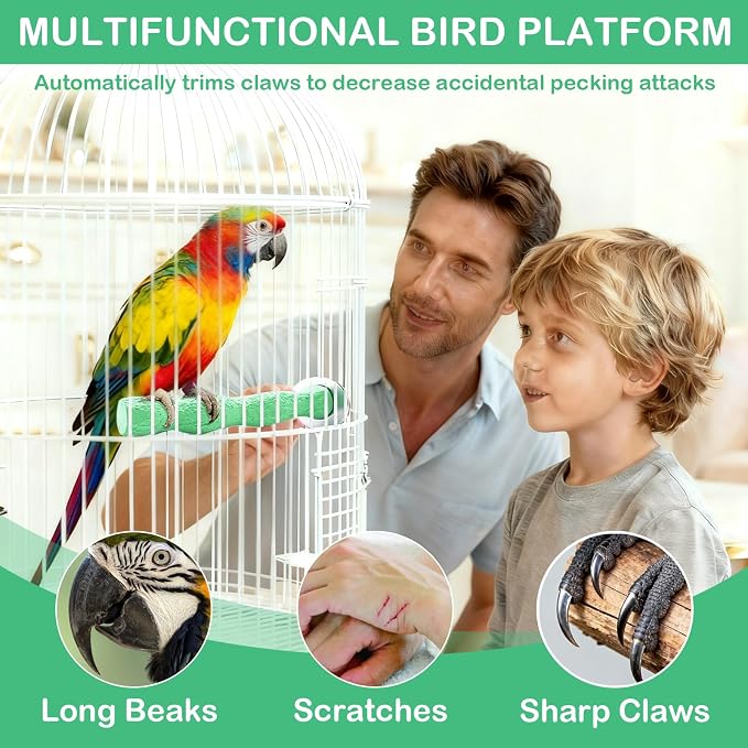Bird Beak Grinding Stone & Nail Trimmer for Parrots, Anti-Slip Claw Grinder | Resin Beak Grinder & Washable Claw Trimmer for Budgie, Conures, Parakeets, Cage Accessory with Perch Stand (2, Green, 5 inch)