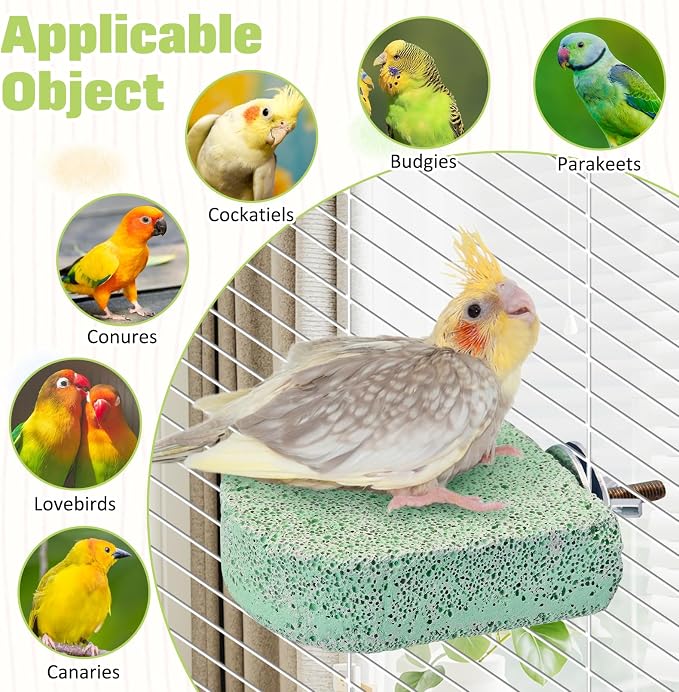 BNOSDM 4 Pcs Green Bird Beak Grinding Stone Calcium Parrot Perch 3.1*2.6in | Natural Volcanic Lava Stone,Mineral Block for Birds cage platform,Small Bird Toys for Parakeets Cockatiels Conures