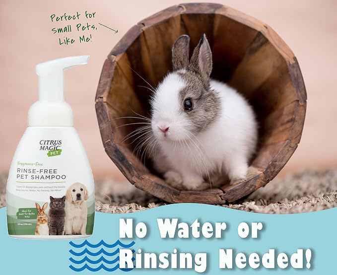 Citrus Magic Pet Rinse-Free Pet Shampoo, 8 Fluid Ounce, 2 Pack | Conditions & Deodorizes Coats, Ideal for Dogs, Cats, Ferrets, Hamsters, Rabbits, Kittens