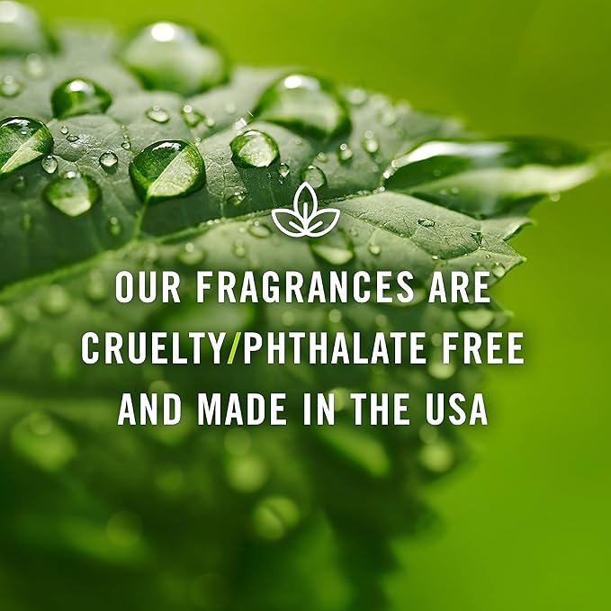 P&J Trading Fragrance Oil | Mango Oil 30ml - Candle Scents for Candle Making, Freshie Scents, Soap Making Supplies, Diffuser Oil Scents