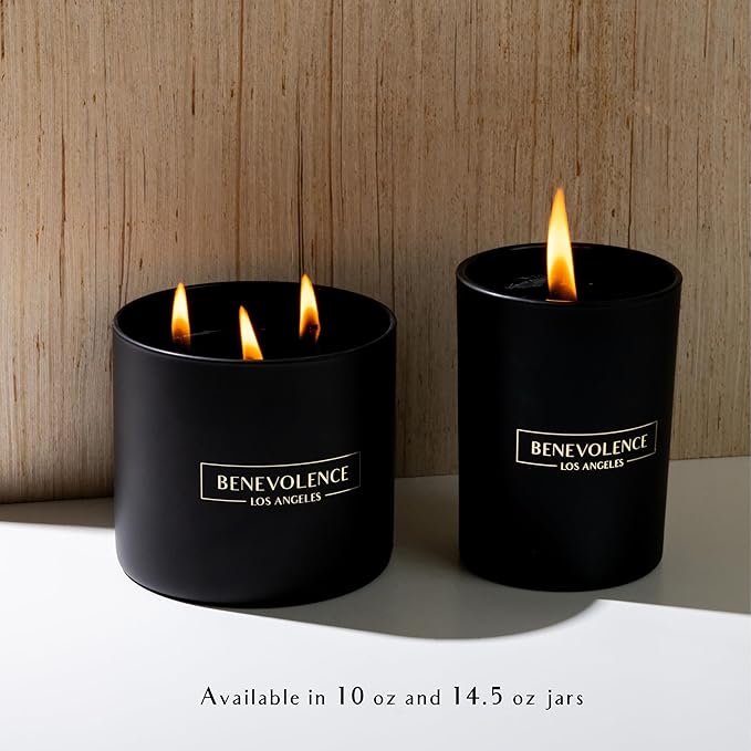 Benevolence LA Charcoal Scented Candle | Soy Christmas Candles, Black Candle for Home | Holiday Candles Gifts for Women and Men | Home Fragrance | Aromatherapy | Bathroom Freshener | 10oz