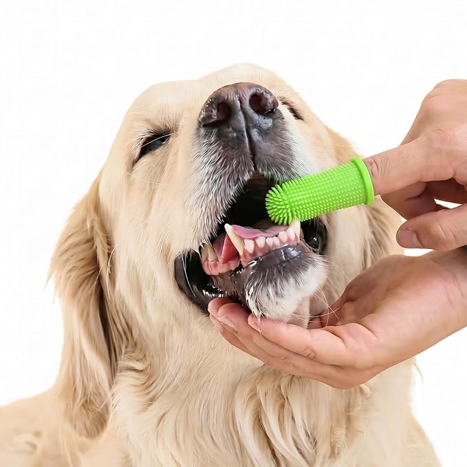 5PC pet grooming bath brush set - silicone massage brush with shampoo dispenser - suitable for dogs and cats for bathing, removing loose hair, and oral cleaning (green)