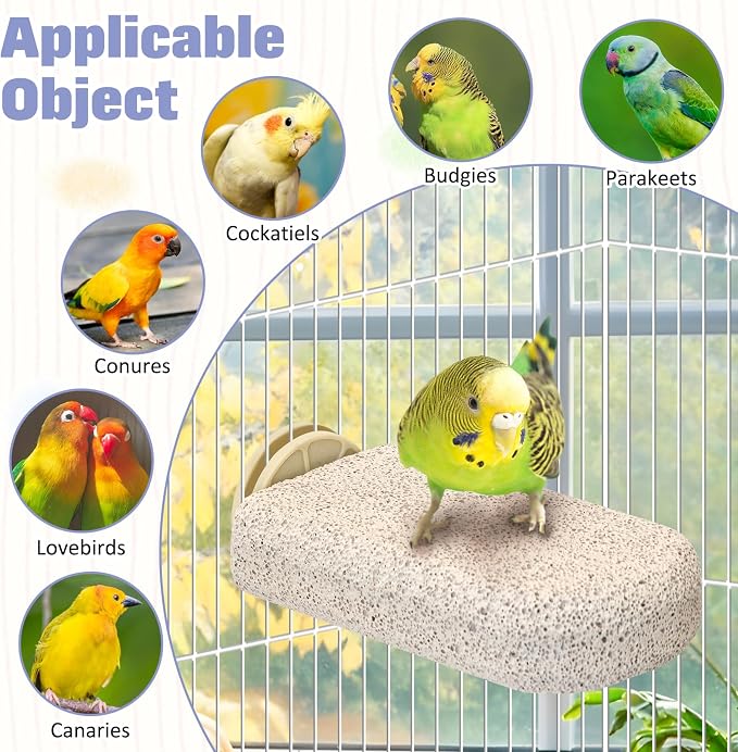BNOSDM 4 Pcs Bird Beak Grinding Stone Calcium Parrot Perch Stand 4.7*2.6in | Natural Volcanic Lava Stone,Mineral Block for Birds,White Cuddle Bone Perch,Bird Toys for Parakeets Cockatiels Conures