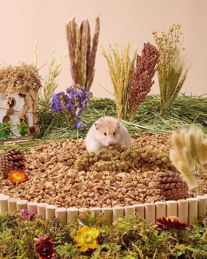 BUCATSTATE 90PCS Natural Hamster Bedding | Flowers & Herbs & Sprays for Cage Habitat Decor - Treat Cereal Grain for Dwarf Syrian Gerbils, Mice, Rat, Forage, Enrichment.