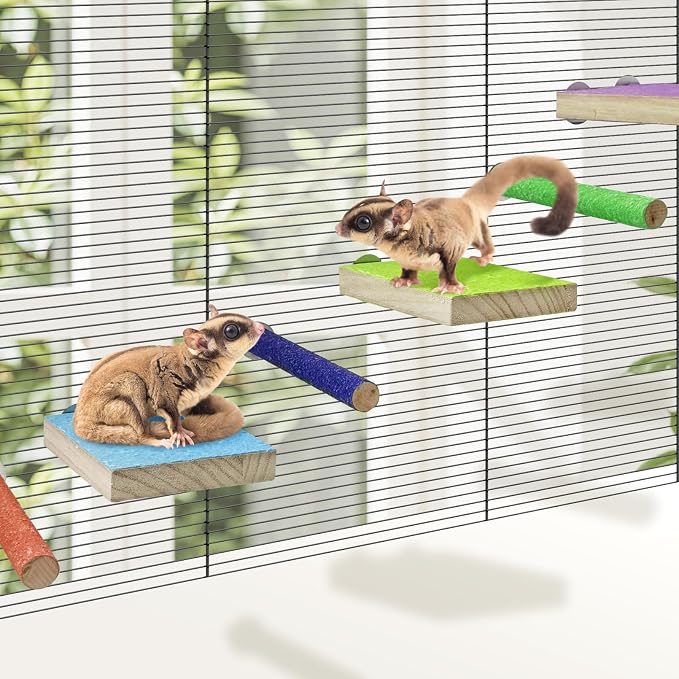 BNOSDM 6PCS Sugar Glider Pole Stand Toy Natural Wood Climbing Platform Colorful Paw Grinding Perch for Sugar Glider Cage Accessories Exercise Toys for Squirrels Hamster Chinchillas Rats Gerbil
