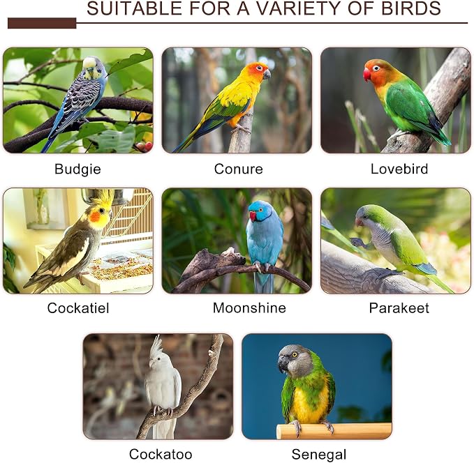 7pcs Natural Wood Bird Perch DIY Bird Cage Accessories Stand Sticks | Natural Bird Perches Kit Including Chewing Stick Platform Swing Toy for Bird Cage Inside & Outside Parakeet Cockatiel Conure