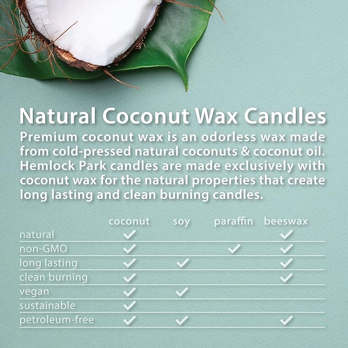 Hemlock Park Crackling Wood Wick Candle Handcrafted with Natural Coconut Wax (Large 16 oz, Bamboo Grapefruit)
