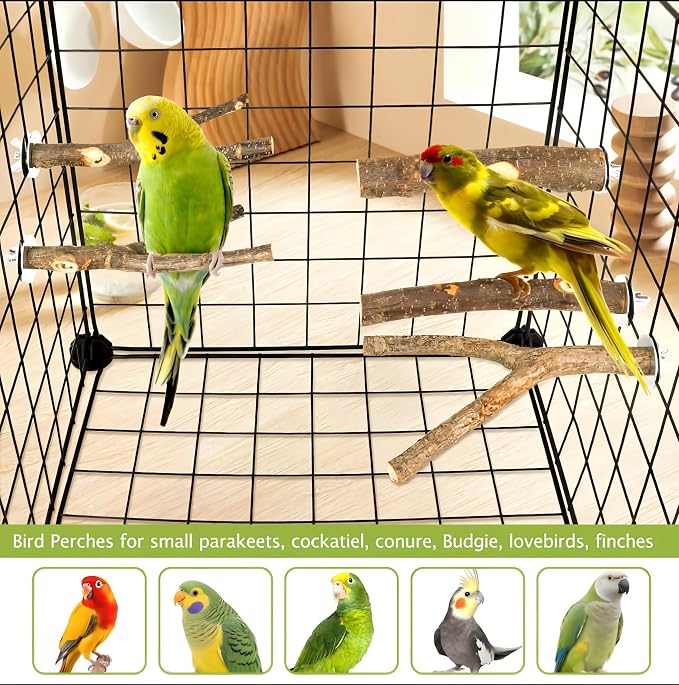 5 Pcs Natural Wood Bird Perch Stand Set for Bird Cages | Ideal for Small/Medium Birds (Budgies, Conures) | Bark Textures for Foot Health | Tool-Free Wing-Nut | Safe Chewing