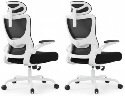 Marsail Ergonomic Office Chair with 3D Armrests, Pack of 2
