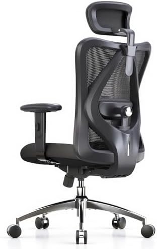 SIHOO M18 Ergonomic Office Chair, Mesh Back Desk Chair with Headrest