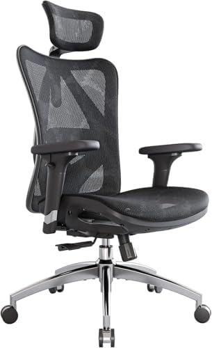 SIHOO M57 Ergonomic Office Chair, Mesh Back Desk Chair with 3D Armrests
