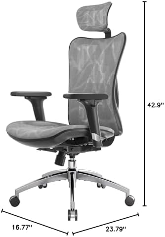 SIHOO M57 Ergonomic Office Chair, Mesh Back Desk Chair with 3D Armrests