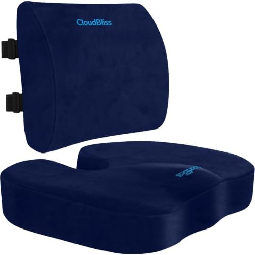 CloudBliss Ergonomic Seat Cushion & Lumbar Support Pillow Set, Blue, XL