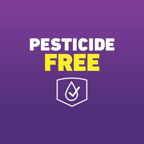 Ortho Home Defense Max Bed Bug Trap, 2 Traps