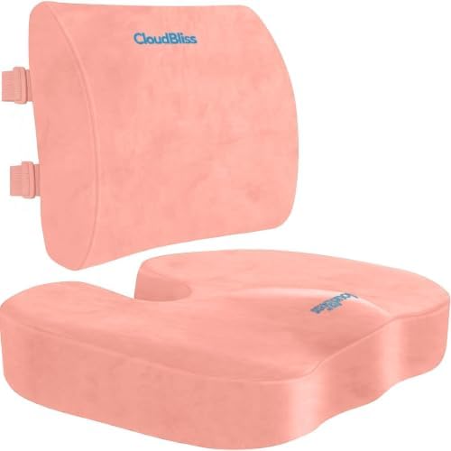 CloudBliss Ergonomic Seat Cushion & Lumbar Support Pillow Set, Pink, XL