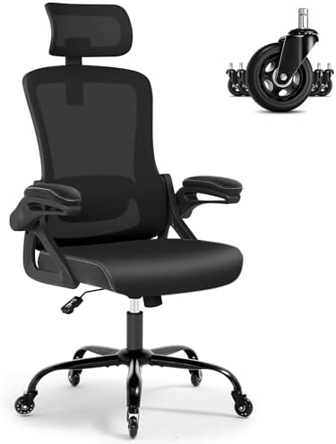 Fizzin Office Chair Mesh Computer Chairs with Adjustable Lumbar Support