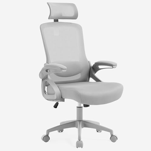 Fizzin Office Chair Mesh Computer Chairs with Adjustable Lumbar Support