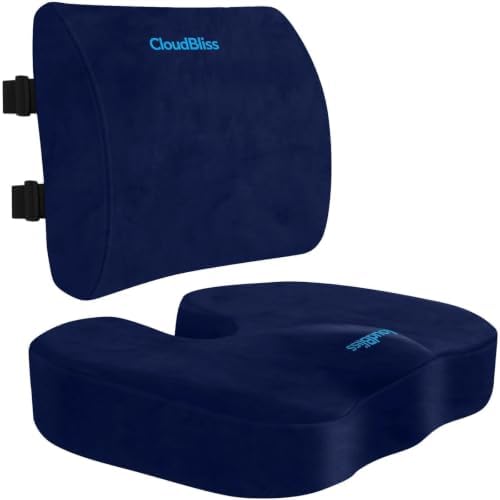 CloudBliss Ergonomic Seat Cushion & Lumbar Support Pillow Set, Blue, Large