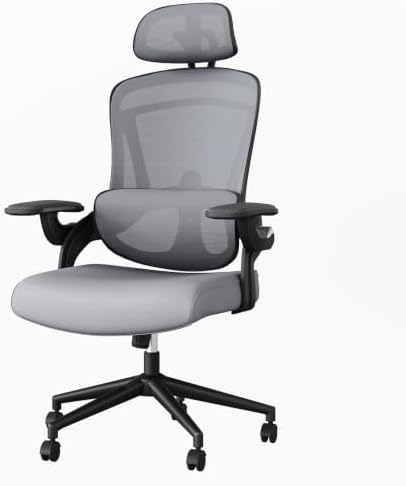 DUMOS Executive Home Office Chair, Ergonomic Computer Desk Chair, Mesh