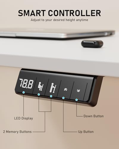 55" Large Electric Standing Desk Adjustable Height for Home Office