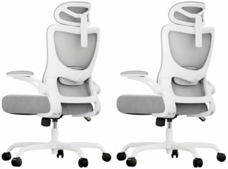 Marsail Ergonomic Office Chair with 3D Armrests, Pack of 2